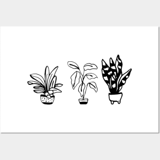 black line art plants illustration Posters and Art